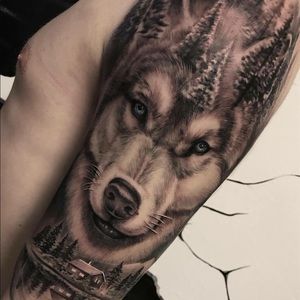 Meet your Posher, Wayne